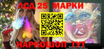 дмт Славгород