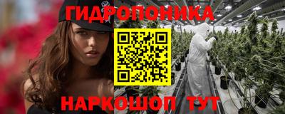 не бодяженный Сланцы
