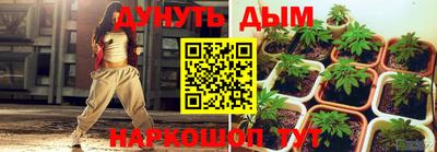 не бодяженный Сланцы