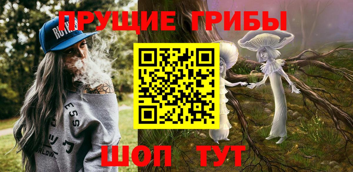 Богородицк  Псилоцибиновые грибы ЛСД  Вход с VPN  Псилоцибиновые грибы мухоморы 